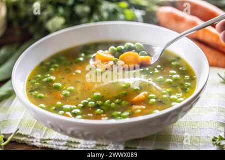 Zuppa di verdure sane con verdure fresche di primavera. Vista ravvicinata di un cucchiaio pieno di zuppa calda. Foto Stock