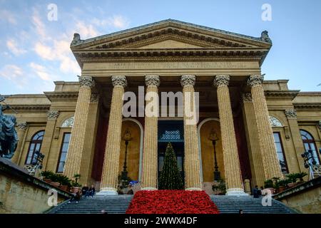 Die grosse berühmte Treppe der Opernhauses Teatro massimo von Palermo an der Piazza Giuseppe Verdi ist zur Weihnachtszeit mit Weihnachtsstern Euphorbia pulcherrima, auch Adventsstern, Christstern oder Poinsettie genannt, geschmückt. Palermo, Sizilien, Italien. AM Opernhaus di Palermo *** la grande e famosa scalinata del Teatro massimo di Palermo in Piazza Giuseppe Verdi è decorata con la poinsettia Euphorbia pulcherrima , nota anche come la stella dell'Avvento, stella di Natale o poinsettia, nel periodo natalizio Palermo, Sicilia, Italia al teatro dell'opera di Palermo Foto Stock