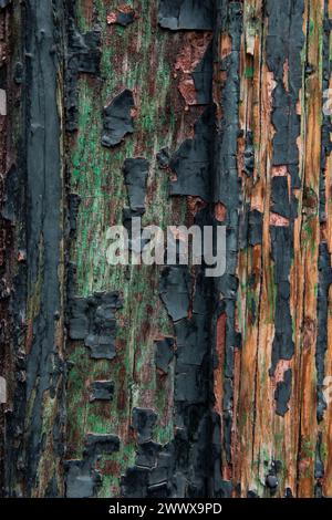 Dettaglio astratto di una porta di legno colorata, incrinata e sbucciata nel quartiere storico della città Vecchia di Tbilisi, capitale della Repubblica di Georgia Foto Stock