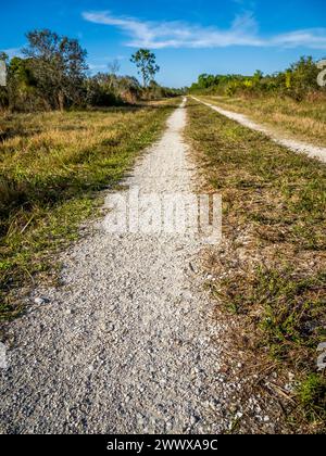 Strada primitiva nella riserva di Deer Prairie Creek a Venice, Florida, Stati Uniti Foto Stock