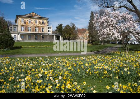 Konstanz, Frühling mit blühender Magnolie an der Seestrasse, mit Villa Prym *** Costanza, sorgente con magnolia fiorente sulla Seestrasse, con Villa Foto Stock