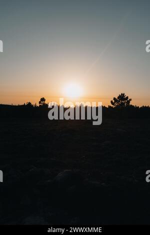 Magico tramonto dietro gli alberi nella foresta Foto Stock