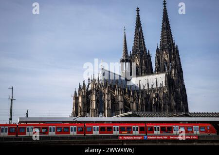 Treno suburbano al binario 1 della stazione centrale, la cattedrale, Colonia, Germania. S-Bahn am Bahnsteig 1 am Hauptbahnhof, der Dom, Koeln, Deutschland. Foto Stock