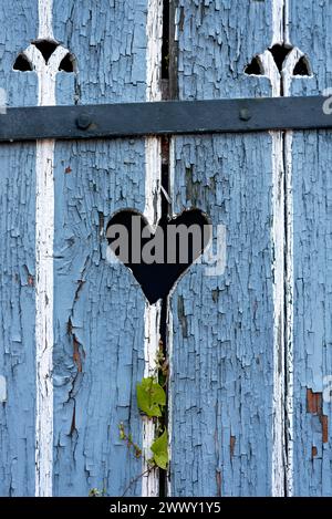 Porta in legno con cuore, porta stabile, vernice di colore chiaro, intemperie, foglie di noce (Fallopia baldschuanica), vecchia casa colonica, idilliaca, romantica Foto Stock
