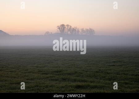 WA25120-00...WASHINGTON - Alba in una mattinata nebbiosa nella Skagit Valley vicino al Monte Vernon. Foto Stock