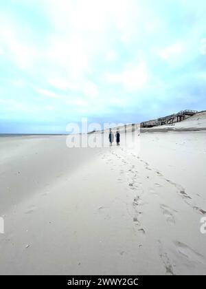 Die Nordseeinsel Sylt im März 26.03.24: Die nördlichste Insel Deutschlands mit Meer, Dünen, Sand und Strand - zwei Menschen in der Ferne am Strand von Sylt Sylt Schleswig Holstein Deutschland *** l'isola del Mare del Nord di Sylt nel marzo 26 03 24 l'isola più settentrionale della Germania con mare e dune, sabbia e spiaggia due persone in lontananza sulla spiaggia di Sylt Sylt Schleswig Holstein Germania foto 11.03.24, 13 12 43 Foto Stock