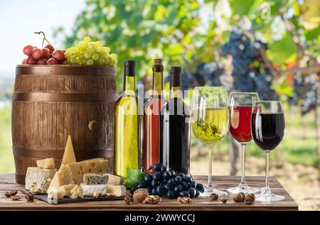 Natura morta del vino. Bottiglie di vino, bicchieri di vino e uva su tavola di legno e vigneto sfocato sullo sfondo. Foto Stock