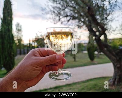 Un bicchiere di vino bianco a mano e sullo sfondo la natura estiva offuscata. Foto Stock