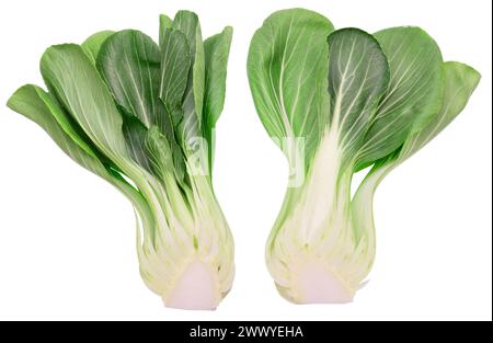 Bok choy o cavoli cinesi isolati su sfondo bianco. Il file contiene il percorso di ritaglio. Foto Stock