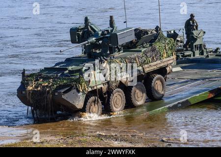 Storkau, Germania. 26 marzo 2024. Un veicolo corazzato gommato Pandur della "4th Rapid Deployment Brigade" ceca arriva a terra da un ponte galleggiante "Amphibie M3" del Pioneer Bridge Battalion 130 durante l'esercitazione "Wettiner Schwert 2024" sulla riva occidentale dell'Elba. Crediti: Klaus-Dietmar Gabbert/dpa/Alamy Live News Foto Stock