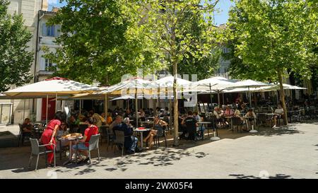 Avignone, Provenza, Francia - giugno 26 2021: Birreria all'aperto sotto gli alberi di platano nel centro storico della città, popolare destinazione turistica Foto Stock