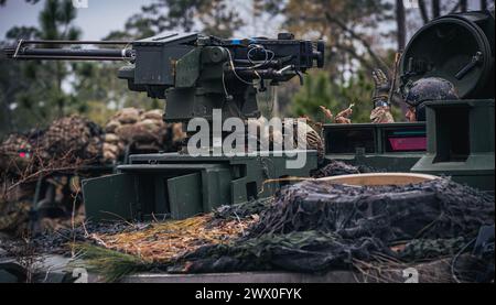 Un soldato assegnato al 3rd Battalion, 69th Armor Regiment, 1st Armored Brigade Combat Team, 3rd Infantry Division, segnala ad un veicolo di fanteria leggera presso il Joint Readiness Training Center (JRTC) a Fort Johnson, Louisiana, 16 marzo 2024. I soldati sono addestrati a rispondere alle forze ostili in un ambiente simile alla vita durante il loro periodo al JRTC. (Foto dell'esercito degli Stati Uniti di PFC. Luciano Alcala) Foto Stock