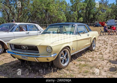 Una Ford Mustang coupé bianca degli anni '1970. Foto Stock