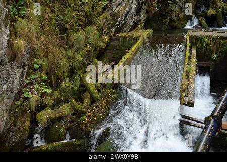 Un ruscello che scorre dalle montagne attraverso uno stretto scivolo di legno ricoperto di muschio spesso in un giorno d'autunno nuvoloso. Fiume Estyuba, Altai, Sibe Foto Stock