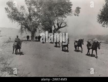 Spedizione punitiva messicana o spedizione Pancho Villa - 11th Cavalry passando Colonia Dublan sulla strada per Namiquipa CA. Maggio 1916 Foto Stock