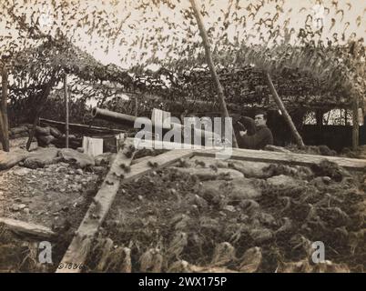 Soldati in una posizione mimetica a Dead Man's Curve vicino a Beaumont Francia CA. 1918 Foto Stock