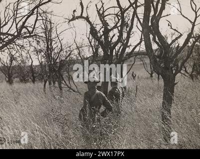 Foto della prima guerra mondiale: I soldati americani camminano attraverso un meleto degradato durante la loro avanzata nella regione francese delle Argonne, a nord-ovest di Verdun, CA. 1918 Foto Stock