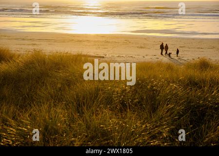 Scene di spiaggia sulla spiaggia di Neahkahnie a Manzanita, Oregon, Stati Uniti, Pacifico nord-occidentale. Foto Stock