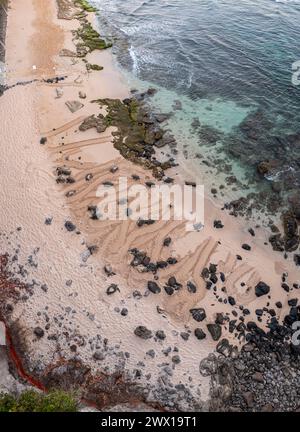 Veduta aerea panoramica composita delle tartarughe verdi di mare, Chelonia mydas ( minacciata ), crogiolarsi sulla spiaggia, mostrando tracce striscianti nella sabbia bagnata, Maui, Hawaii Foto Stock