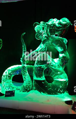 Dutch Ice Sculpture Festival a Zwolle da dicembre 2023 a febbraio 2024 Foto Stock