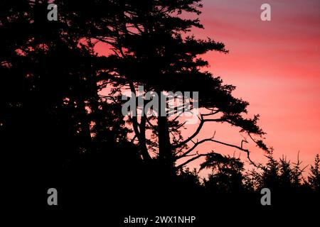 Tramonto rosso sangue a Manzanita, Oregon, Stati Uniti, Pacifico nord-occidentale. Foto Stock