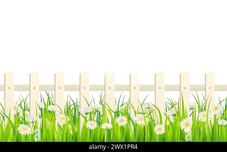 Erba verde primaverile, fiori a margherita, recinzione bianca Illustrazione Vettoriale