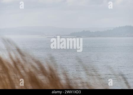 Vista sulla costa del Fort Ebey State Park nello stato di Washington, Stati Uniti Foto Stock