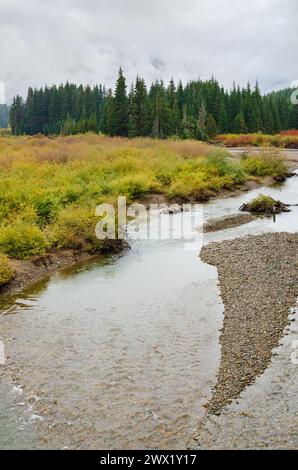 Torrenti alle pendici del Monte Rainer nello stato di Washington, Stati Uniti Foto Stock