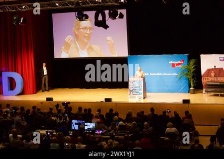 Harmonie Heilbronn Hall, Heilbronn, Germania, 23 marzo 2024. Conferenza elettorale AFD. Dottoressa Alice Weidel, Tino Chrupalla, dottoressa Maximilian Krah, Foto Stock