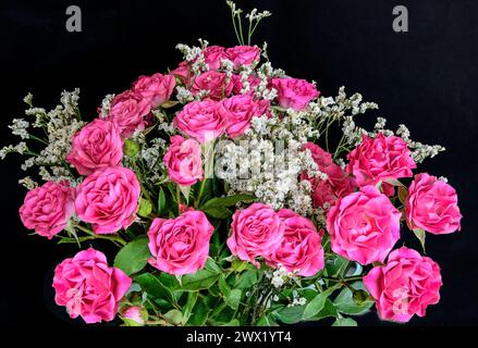 Bouquet luminoso di rose rosa scuro e fiori bianchi di statice o Limonium sinuatum da vicino su sfondo nero isolato. Splendido ed elegante design floreale Foto Stock