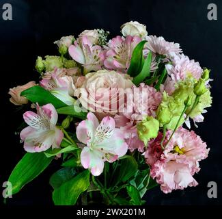 Lussuoso ed elegante bouquet di alstroemeria, eustoma, rose e fiori di crisantemo in tenui toni rosa e limone primo piano, isolato su uno sfondo nero Foto Stock