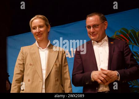 Harmonie Heilbronn Hall, Heilbronn, Germania, 23 marzo 2024. Conferenza elettorale AFD. Dottoressa Alice Weidel, Tino Chrupalla, dottoressa Maximilian Krah, Foto Stock