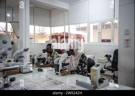 Nairobi. 11 gennaio 2024. Questa foto scattata l'11 gennaio 2024 mostra una vista interna di un laboratorio del Centro Nazionale di controllo della malaria delle Comore a Moroni, nelle Comore. Crediti: Wang Guansen/Xinhua/Alamy Live News Foto Stock