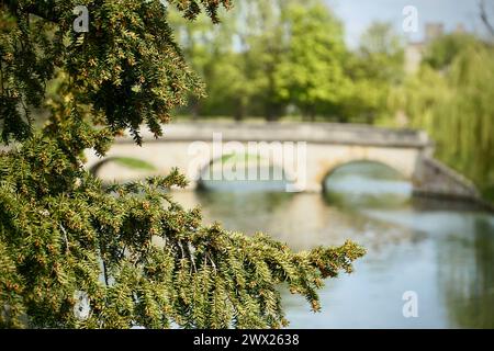Foto artistica del Trinity Bridge sul fiume Cam, Cambridge, scattata in estate Foto Stock