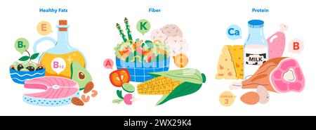 Set di alimenti ricchi di nutrienti. Illustrando l'importanza di grassi sani, diete ad alto contenuto di fibre e pasti ricchi di proteine. Vitamine e minerali essenziali per il benessere. Illustrazione vettoriale. Illustrazione Vettoriale