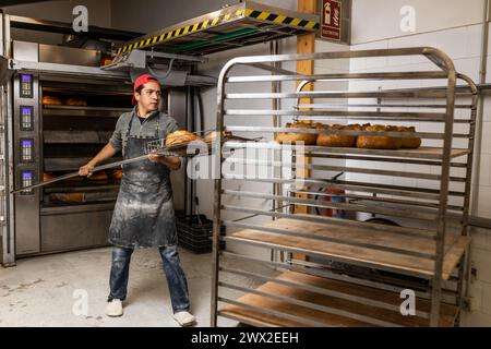 Il maestro panettiere latino prende i pani dal forno e li mette al fresco Foto Stock