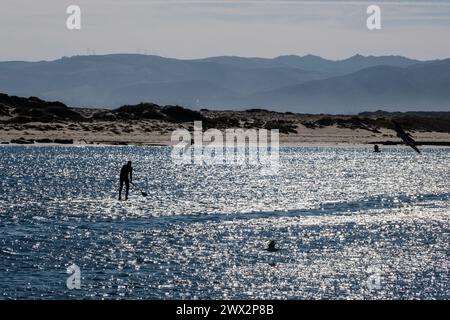 Paddle boarder a Morro Rock e Morro Bay, Oceano Pacifico, Morro Bay, California, Stati Uniti. Foto Stock