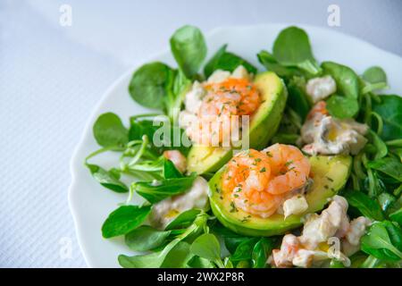Insalata di crescione, avocado, gamberi e olio di oliva. Chiudere la vista. Foto Stock