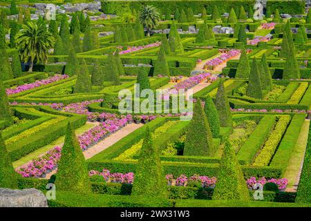 Vista del labirinto del giardino, siepi e alberi a forma di piramide che fioriscono fiori di lilla. Foto Stock