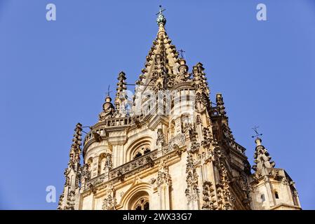 La cattedrale della Basilica metropolitana di San Salvador de Oviedo è una cattedrale in stile gotico. La sacra camera. Principato delle Asturie, Spagna Foto Stock