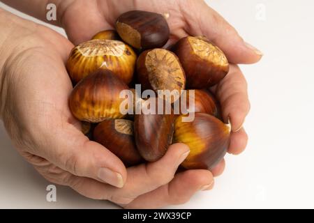 Castagne stagionali raccolte dal campo su sfondo bianco Foto Stock