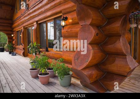 Facciata casalinga scandinava di colore marrone rossastro con grandi tronchi a pezzi e veranda in legno grigio decorata con piante verdi Foto Stock