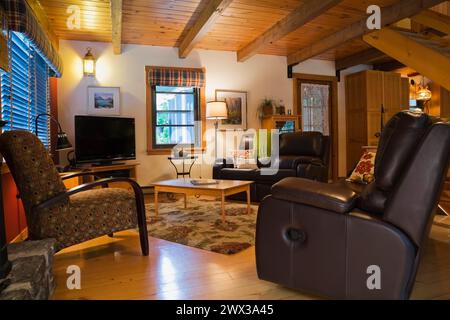 Divani in pelle marrone con poltrona imbottita e tavolino da caffè in legno nel soggiorno con pavimento in legno duro all'interno di una casa in legno in stile canadese Foto Stock