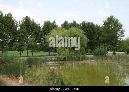 Parco botanico di Bursa, Turchia Foto Stock