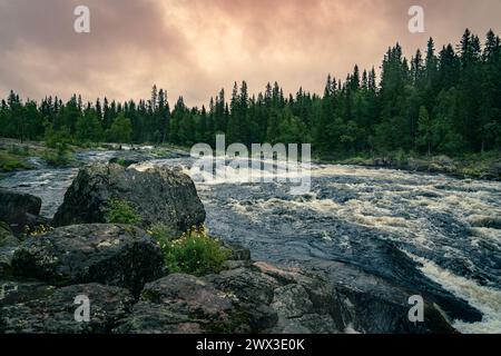 Rapide Twilight Over. La sera d'estate, l'acqua scorreva tra massi e fiori gialli lungo il fiume, nella tranquilla foresta di Dalarna in Svezia Foto Stock