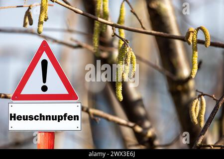 Cartello con avvertimento polline febbre da fieno allergia Foto Stock