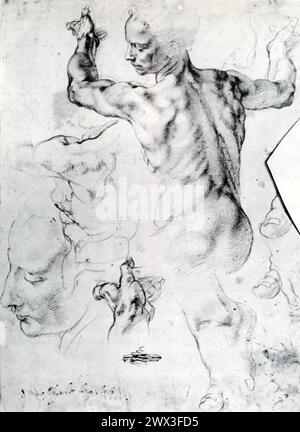 Gli "studi per la Sibilla libica" sono una serie di schizzi preparatori del famoso artista italiano Michelangelo, risalenti alla sua vita tra il 1475 e il 1564. Questi studi facevano parte dell'ampia preparazione di Michelangelo per la pittura del soffitto della Cappella Sistina nella città del Vaticano, un'opera monumentale che mostra la padronanza dell'artista della forma umana e la sua profonda comprensione dei temi religiosi. Foto Stock