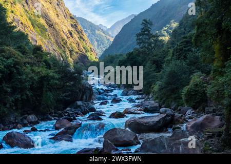 Fiume Tamor sulla strada per il trekking al campo base di Kanchenjunga, Nepal Foto Stock