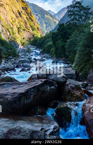 Fiume Tamor sulla strada per il trekking al campo base di Kanchenjunga, Nepal Foto Stock