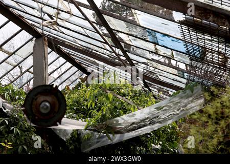 ODESA, UCRAINA - 27 MARZO 2024 - tetto della serra danneggiato da un attacco missilistico russo nel giardino botanico di Odesa I.I. Università Nazionale Mechnykov, Odesa, Ucraina meridionale. Foto Stock